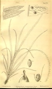 n403_w1150