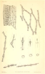 n112_w1150