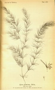 n399_w1150