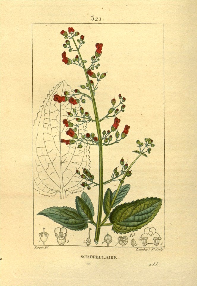 n152_w1150