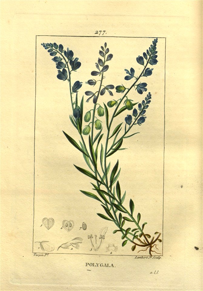 n255_w1150