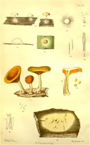 n175_w1150