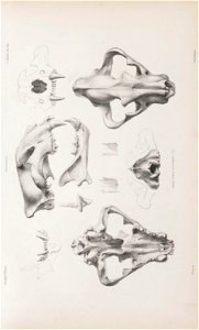 n168_w1150