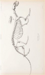 n108_w1150