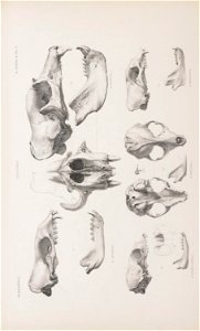 n18_w1150