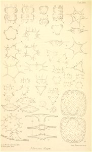 n177_w1150