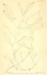 n11_w1150