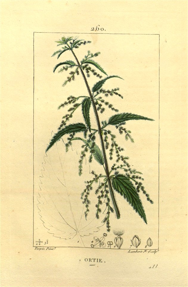n158_w1150