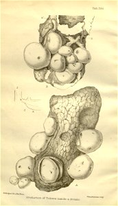n235_w1150