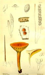 n173_w1150