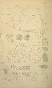 n307_w1150