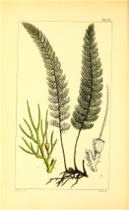 n397_w1150