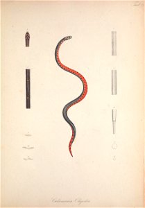 n56_w1150