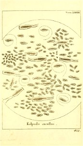 n68_w1150