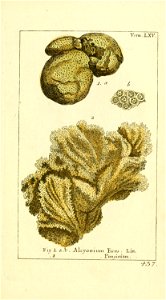n38_w1150