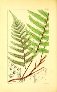 n135_w1150