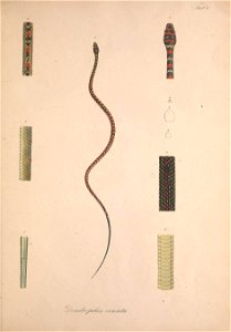 n18_w1150