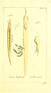 n10_w1150