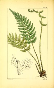 n317_w1150