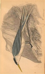 n362_w1150