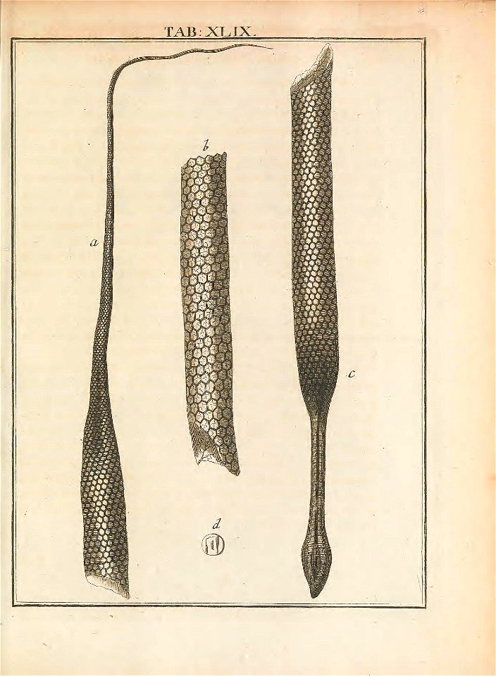 n222_w1150