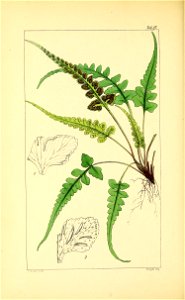n119_w1150