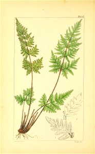 n59_w1150