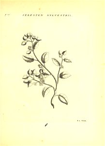 n44_w1150