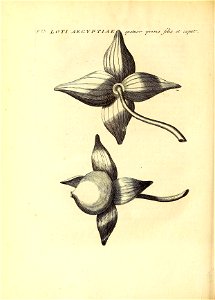 n191_w1150