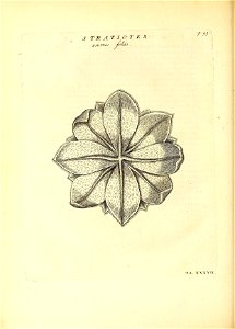 n139_w1150