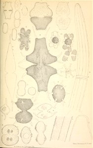 n46_w1150