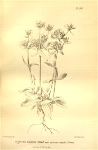n102_w1150