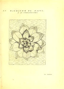 n134_w1150