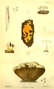 n174_w1150