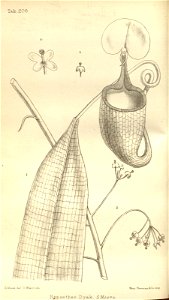 n5_w1150