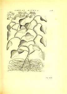 n178_w1150