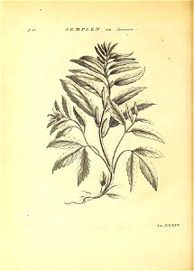 n127_w1150