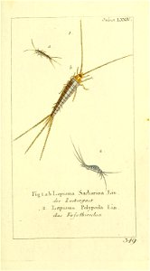 n58_w1150