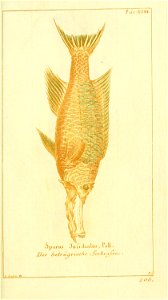 n58_w1150