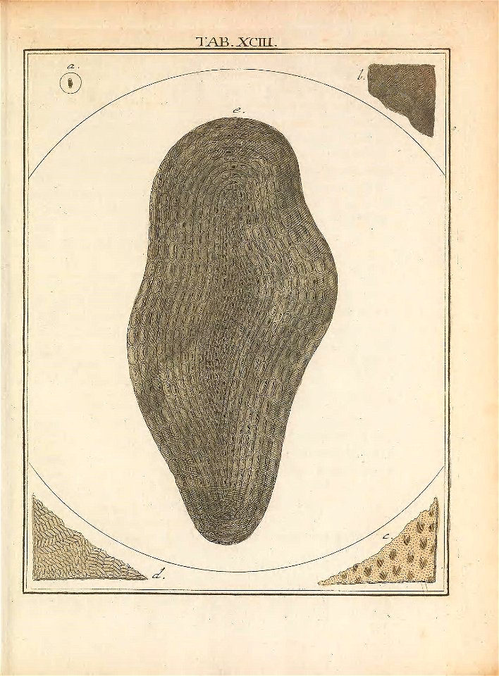 n194_w1150