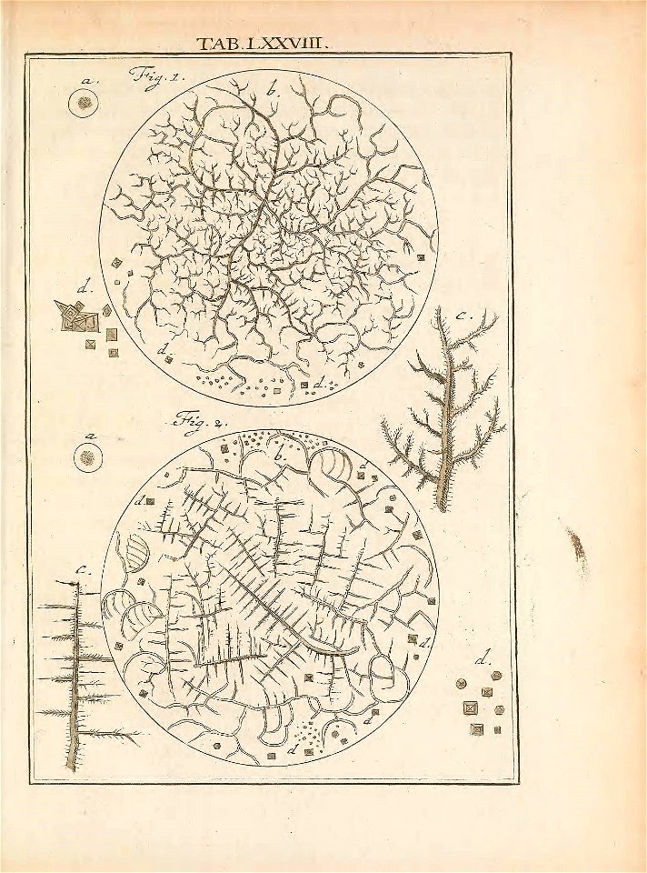 n128_w1150