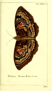 n56_w1150