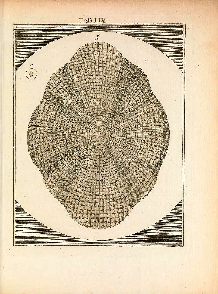 n44_w1150