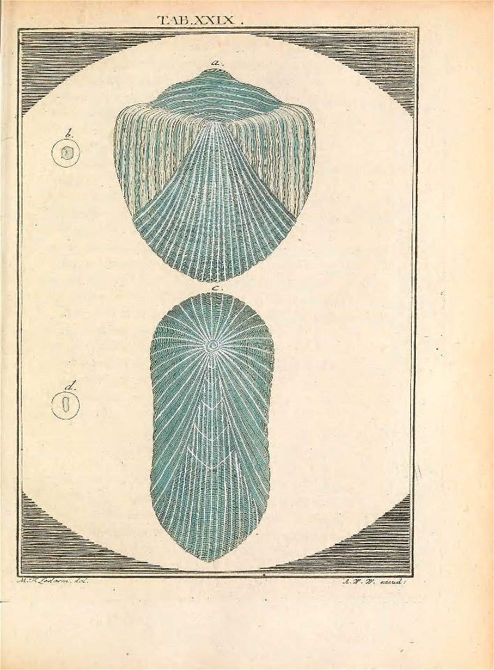n146_w1150