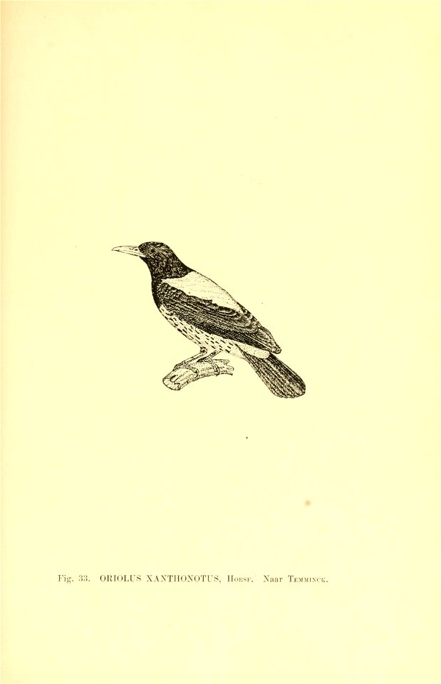 n186_w1150