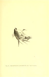 n156_w1150