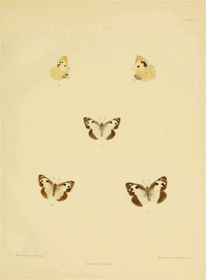 n174_w1150