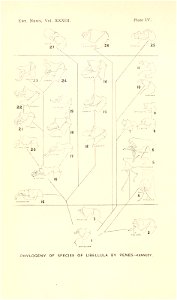 n89_w1150