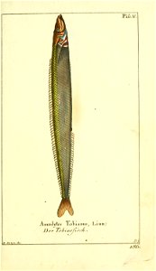 n18_w1150