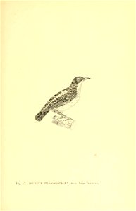 n154_w1150